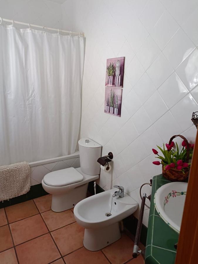 Chalet Trinquet Vinarós Екстериор снимка